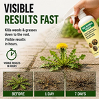 🔥2026 SALE - Fast-Acting Natural Weed & Grass Killer Spray